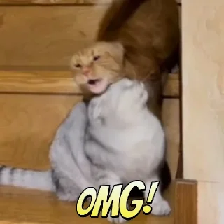 😄