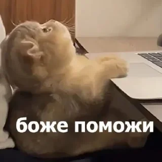 😑