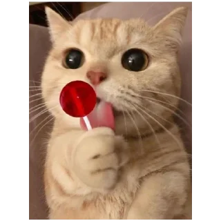 🍡