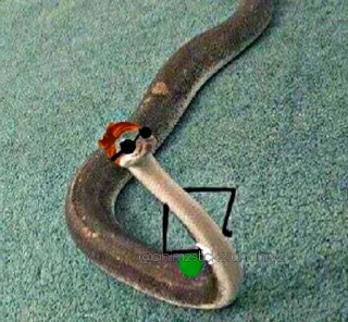 😎