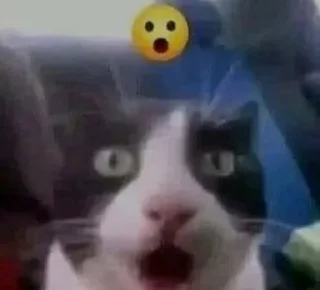 😮