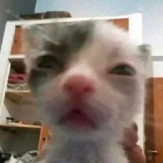 😑