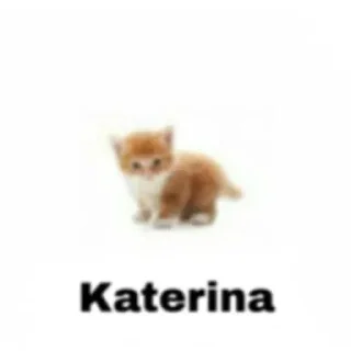 🐱