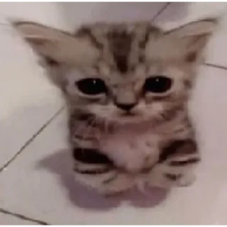 👹
