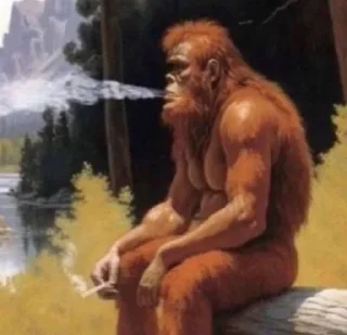 🐵