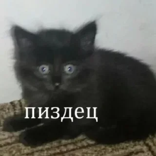 🤯