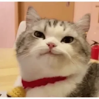 😏