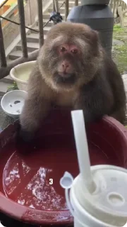😋