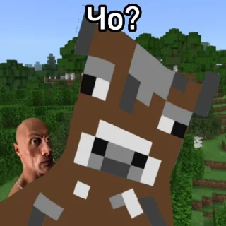 🫤