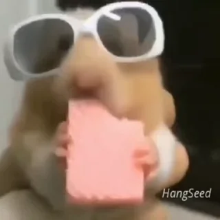 🏵