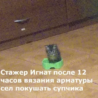 🍜