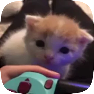 🥺