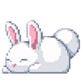 🐇