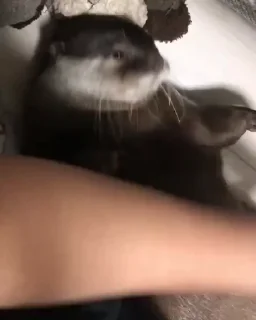 🛏