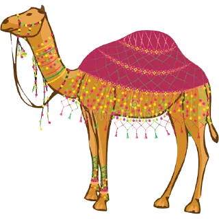 🐪