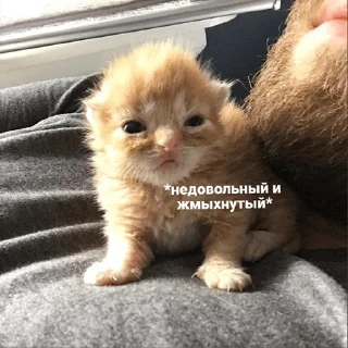 😡