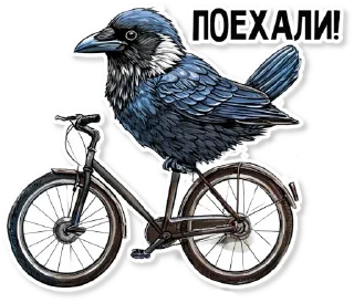🚴