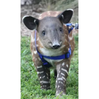 😀