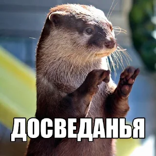 👋