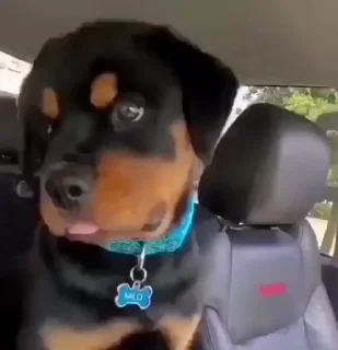 😅