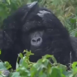 😖