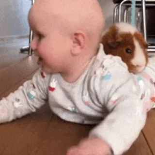 🐹
