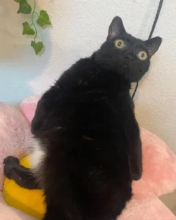 😳