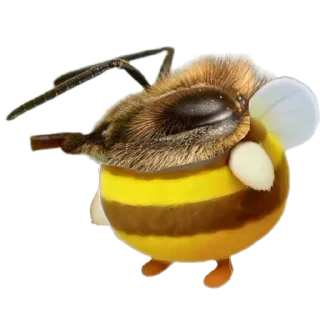 🐝