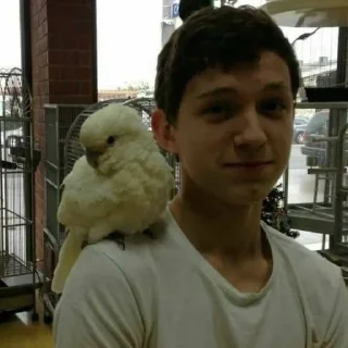 🦜