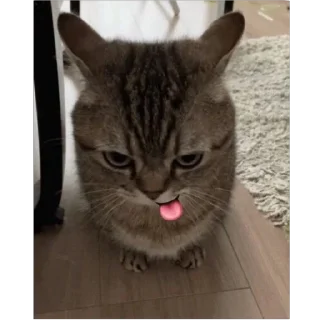 🤪