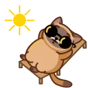 😎