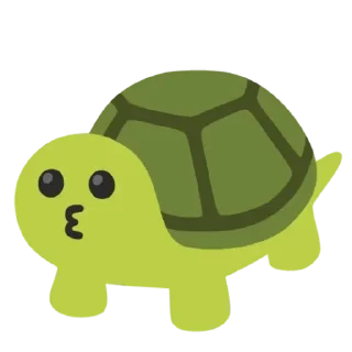 🐢