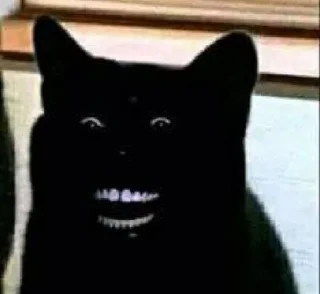 🌚