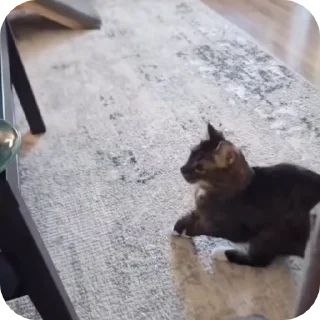 🥹