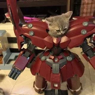 💪