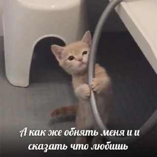 🥺
