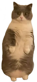 😮