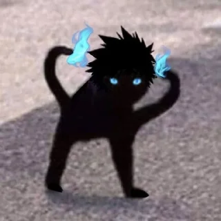 🌟