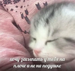 💗