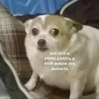 🦠