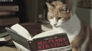 📚