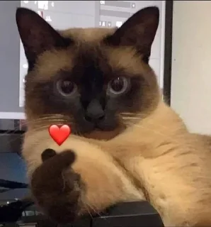 ❤️