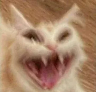 😨