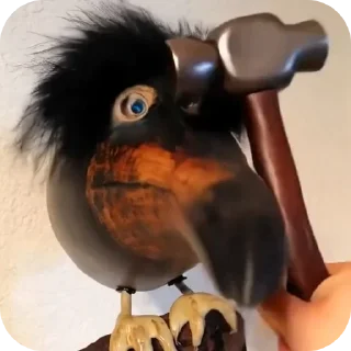 🐦