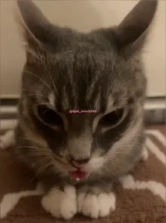 😬