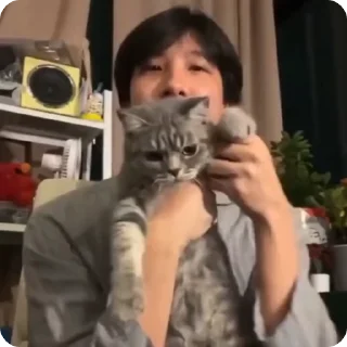 🐈‍⬛
