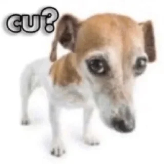 ❓