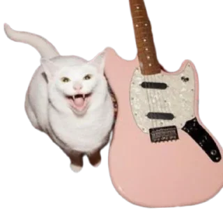 🎸