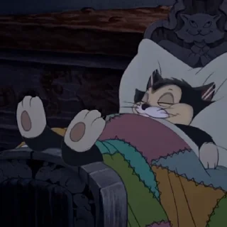 😴