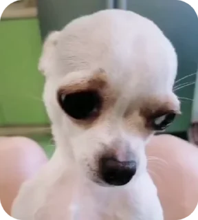 🌟